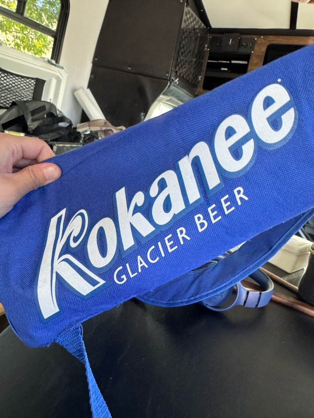 Blue Insulated Cooler Backpack - - Picture 2 of 16